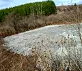 Снимка 5 — Бизнес имот в Перник, Изток
