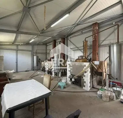 Photo 3 — Industrial Building in Oblast Veliko Tyrnovo, Dolna Oryahovica