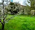 Снимка 5 — Промишлена сграда в Кърджали, Промишлена зона - Изток