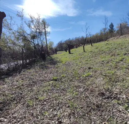 Photo 2 — Orchard in Kyustendil, Kyustendil