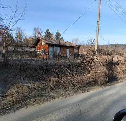 Photo 4 — Orchard in Kyustendil, Kyustendil