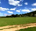 Снимка 3 — Земеделски имот в Перник, с. Боснек