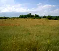 Снимка 2 — Земеделски имот в Добрич, с. Църква