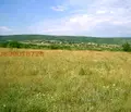 Снимка 4 — Земеделски имот в Добрич, с. Църква