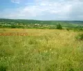 Снимка 5 — Земеделски имот в Добрич, с. Църква