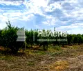 Снимка 5 — Земеделски имот в Пазарджик, с. Главиница