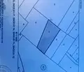 Снимка 3 — Земеделски имот в Кюстендил, с. Коняво