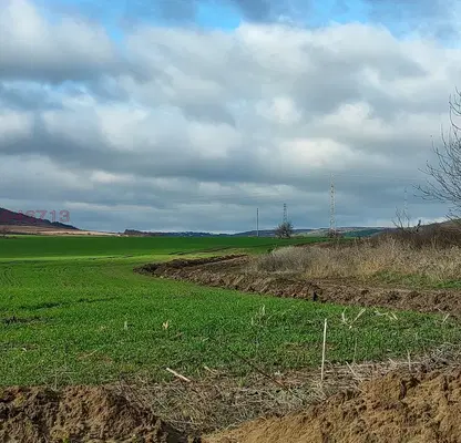 Photo 3 — Agricultural Land in Oblast Dobrich, Kranevo