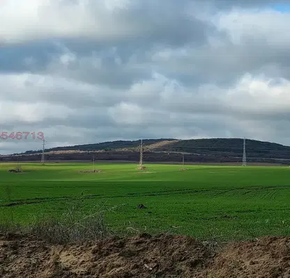 Photo 4 — Agricultural Land in Oblast Dobrich, Kranevo