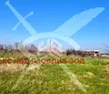 Снимка 2 — Земеделски имот в Пловдив, с. Марково