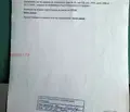 Снимка 5 — Земеделски имот в Добрич, с. Писарово