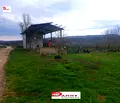 Снимка 2 — Земеделски имот във Велико Търново, с. Раданово