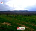 Снимка 4 — Земеделски имот във Велико Търново, с. Раданово