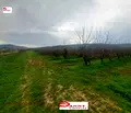Снимка 5 — Земеделски имот във Велико Търново, с. Раданово