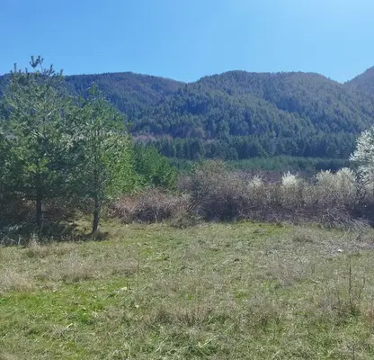 Photo 5 — Agricultural Land in Oblast Kyustendil, Resilovo