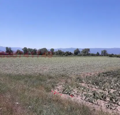 Photo 3 — Agricultural Land in Oblast Vidin, Vyrbovchec