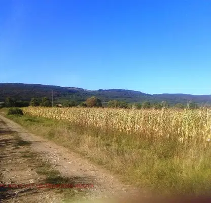 Photo 2 — Agricultural Land in Oblast Gabrovo, Sevlievo
