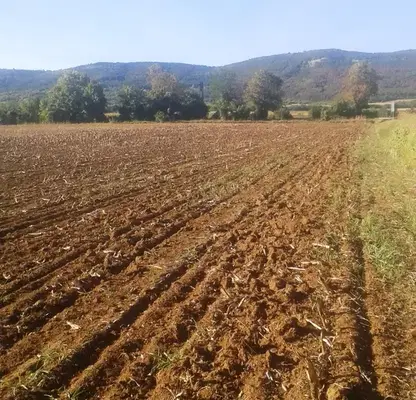 Photo 5 — Agricultural Land in Oblast Gabrovo, Sevlievo
