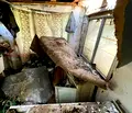 Снимка 5 — Къща в Добрич, Балчик