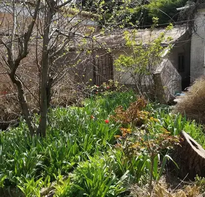 Photo 4 — House in Dobrich, Kralska Zona