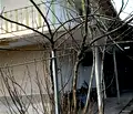Снимка 4 — Къща във Варна, Дългопол