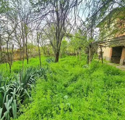 Photo 5 — House in Oblast Pleven, Iskyr