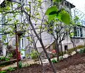 Снимка 3 — Къща в Ловеч, Луковит