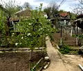 Снимка 4 — Къща в Монтана, Мала Кутловица
