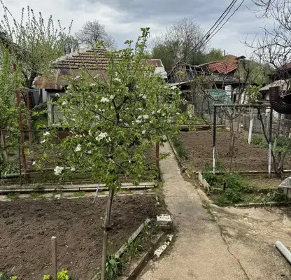 Photo 4 — House in Montana, Mala Kutlovica