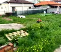 Снимка 3 — Къща в Перник, Мошино