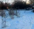 Снимка 2 — Къща в Плевен, с. Бреница