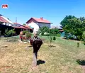 Снимка 5 — Къща във Враца, с. Големо Бабино