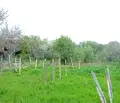 Снимка 4 — Къща в Плевен, с. Крушовене