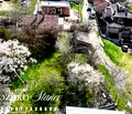 Снимка 4 — Къща във Варна, с. Куманово