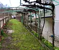 Снимка 4 — Къща в Плевен, с. Лозица