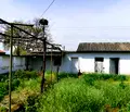 Снимка 3 — Къща в Пазарджик, с. Мирянци