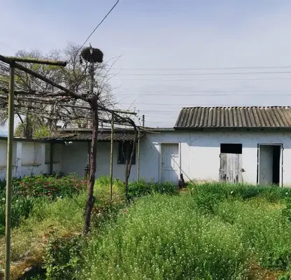 Снимка 3 — Къща в Пазарджик, с. Мирянци