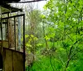 Снимка 5 — Къща в Разград, с. Радин