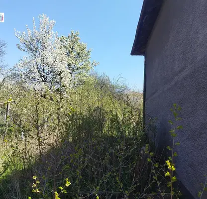 Photo 3 — House in Oblast Pernik, Studena