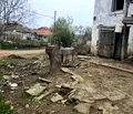 Снимка 4 — Къща в Бургас, с. Вършило