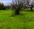 Снимка 4 — Къща в Стара Загора, с. Яворово