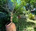 Снимка 2 — Къща в Ловеч, Ябланица
