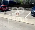 Снимка 2 — Гараж/Паркомясто в София, Драгалевци