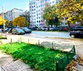 Снимка 4 — Магазин в Пловдив, Южен