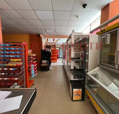 Снимка 4 — Магазин в Пловдив, Първомай