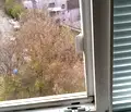 Снимка 5 — Стая в Плевен, Широк център
