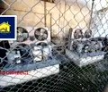 Снимка 3 — Склад в Пазарджик, Велин
