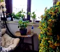 Снимка 3 — Двустаен апартамент в Плевен, Идеален център