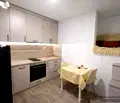 Снимка 2 — Двустаен апартамент в Център на Пловдив с функционално разпределение