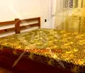 Снимка 2 — Двустаен апартамент в Христо Смирненски, Пловдив